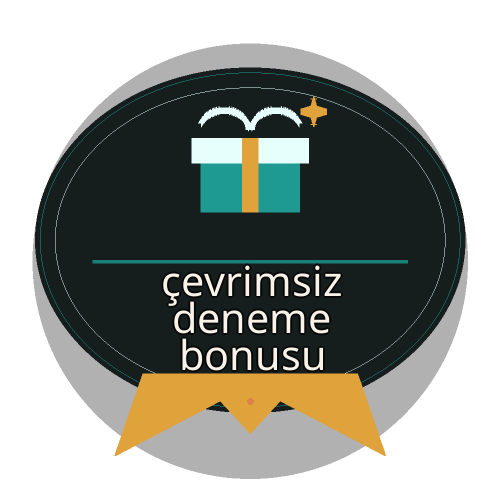Bonus Koşulları Rehberi logosu
